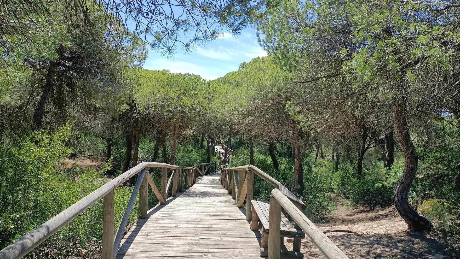 Cozy Apartment Views Pinares Almadraba Rota 0*,  Spain